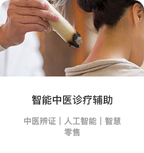 智能中医诊疗辅助.png